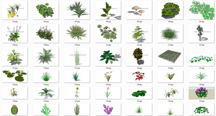 Thư viện Sketchup tổng hợp 50 Model về các loại Cây hoa, cây bụi chất lượng cao P18