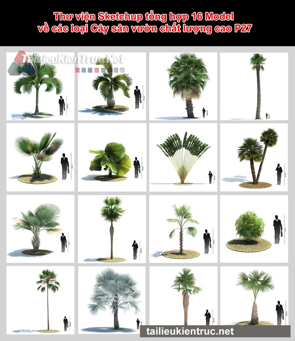 Thư viện Sketchup tổng hợp 16 Model về các loại Cây sân vườn chất lượng cao P27