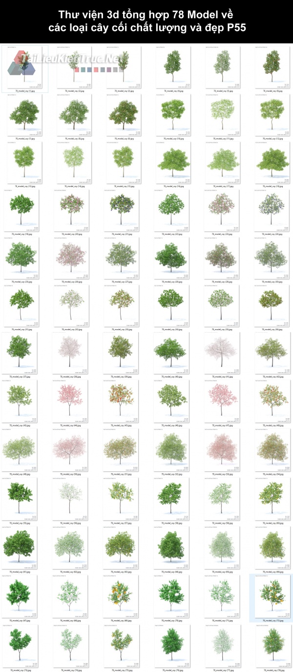 Thư viện 3d tổng hợp 78 Model về các loại cây cối chất lượng và đẹp P55
