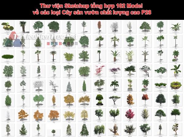 Thư viện Sketchup tổng hợp 102 Model về các loại Cây sân vườn chất lượng cao P28