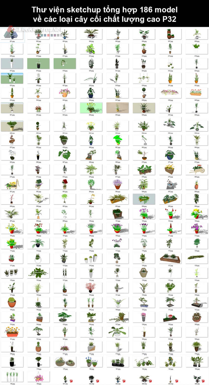 Thư viện Sketchup tổng hợp 186 Model về các loại cây cối chất lượng cao P32