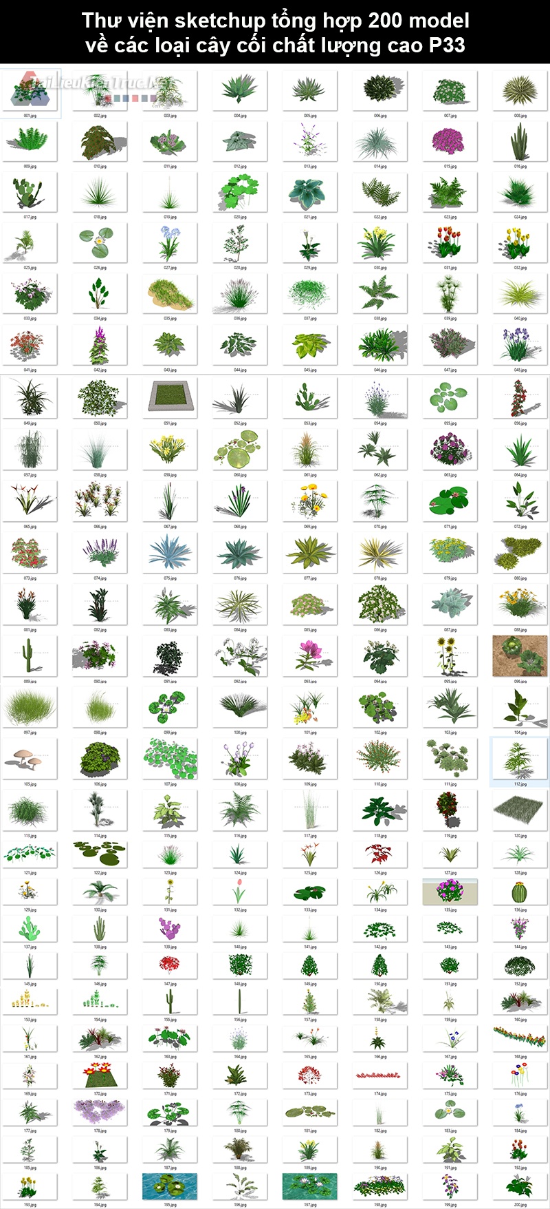 Thư viện Sketchup tổng hợp 200 Model về các loại cây cối chất lượng cao P33