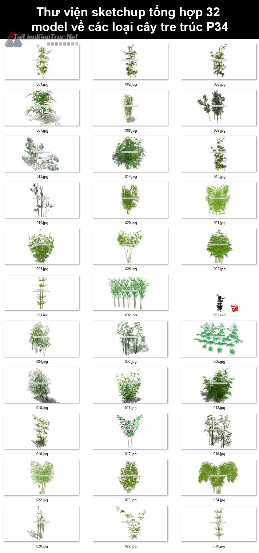Thư viện Sketchup tổng hợp 32 Model về các loại cây tre trúc P34