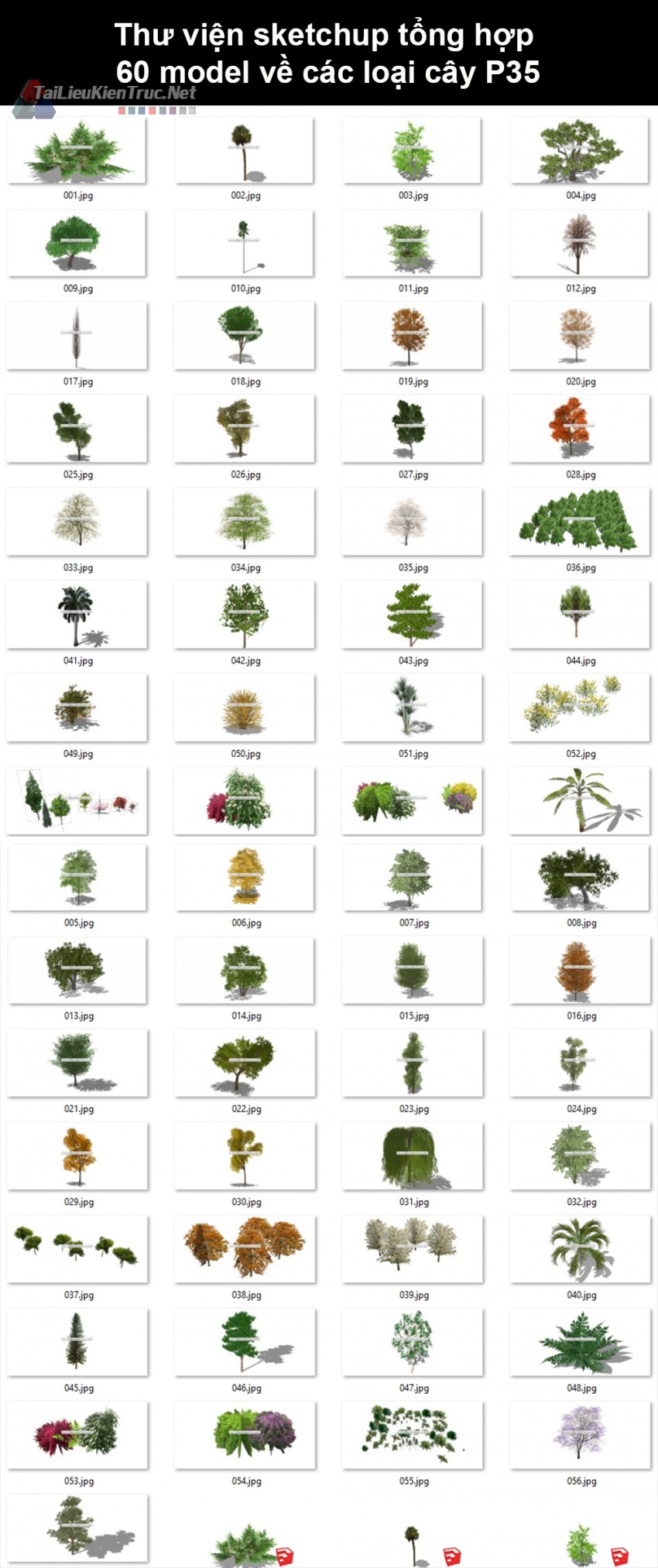 Thư viện Sketchup tổng hợp 60 Model về các loại cây cối P35