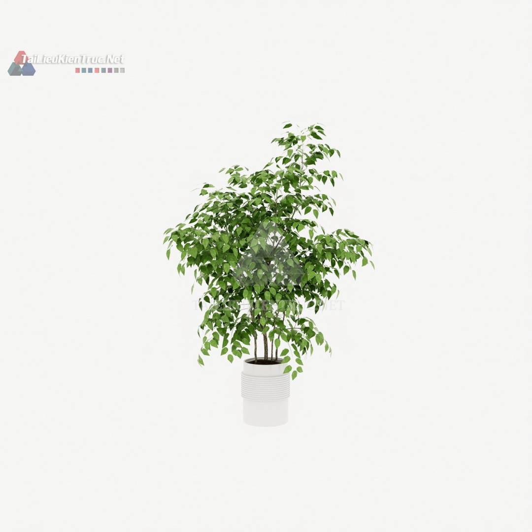 Thư viện cây Sketchup 091