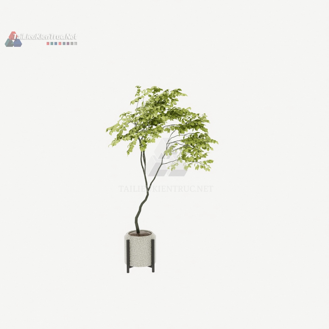 104 Mô Hình SketchUp Cây Cảnh Dáng Cong Hiện Đại Miễn Phí