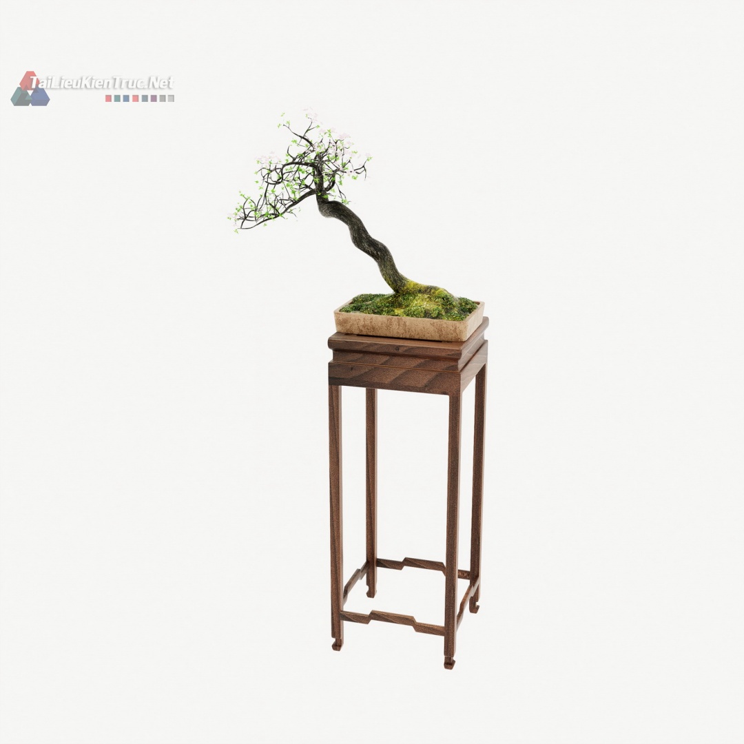 006 Model cây bonsai sketchup miễn phí