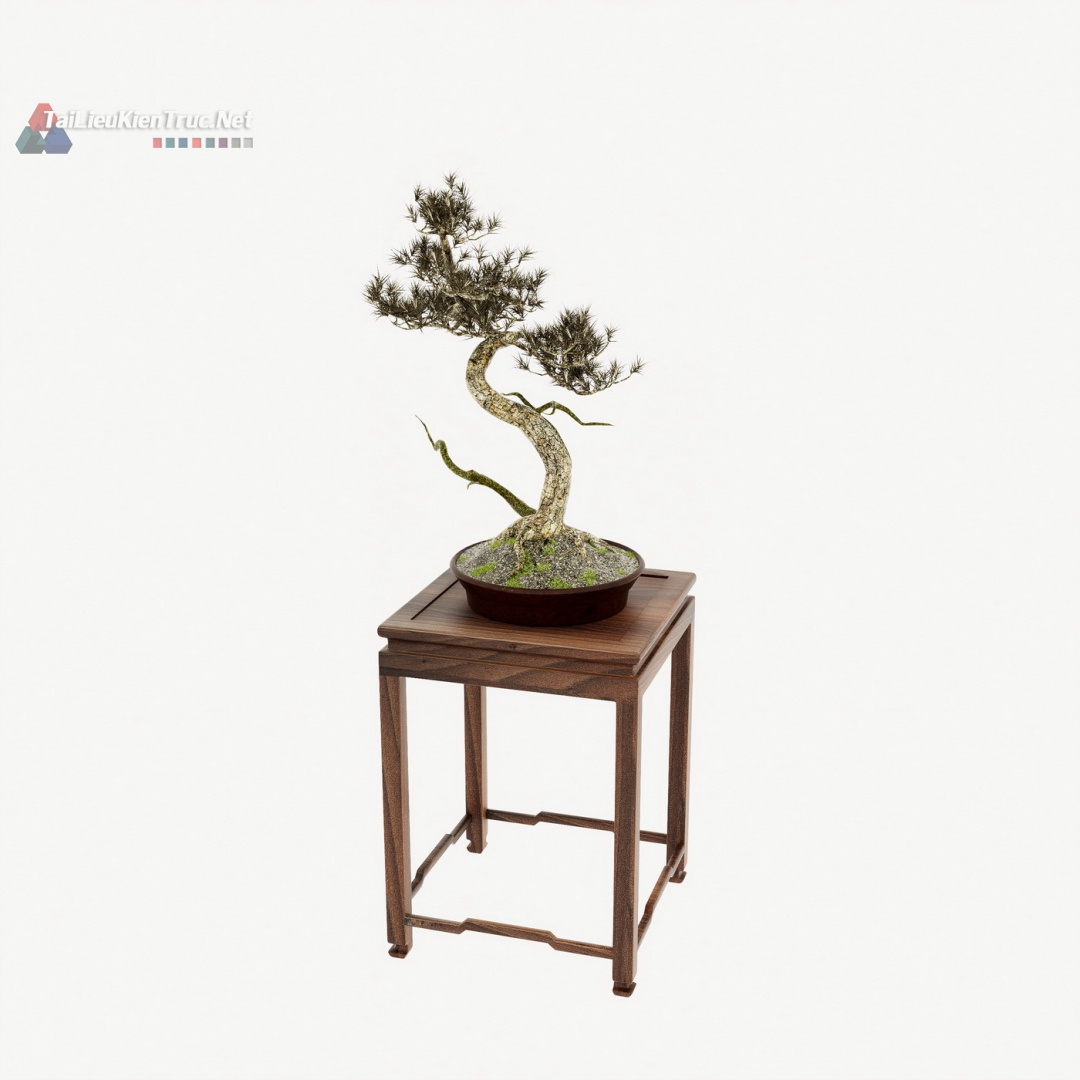 007 Bonsai sketchup miễn phí tải về