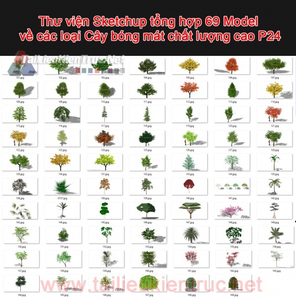 Thư viện Sketchup tổng hợp 69 Model về các loại Cây bóng mát chất lượng cao P24