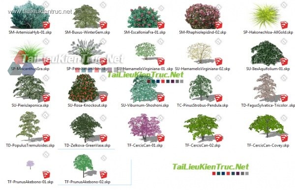 Tổng hợp 20 Model Sketchup về Cây các loại