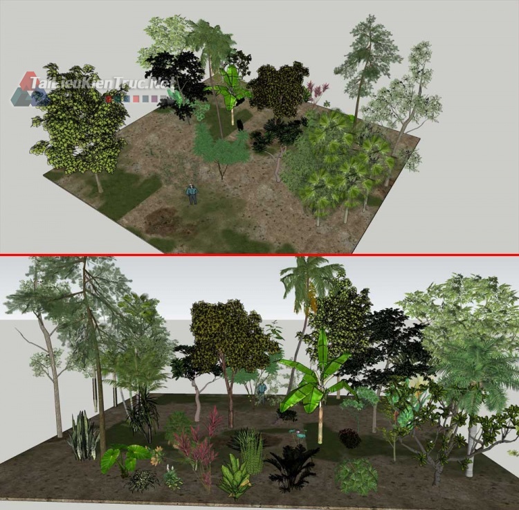 Thư viện Sketchup tổng hợp Model về các loại Cây chất lượng cao P12