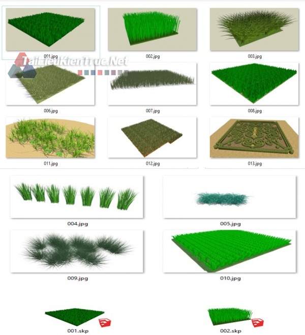 Thư viện Sketchup tổng hợp 13 Model về các loại cỏ P21