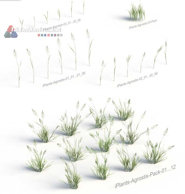 Thư viện Sketchup tổng hợp về các loại Cây cỏ chất lượng cao P10