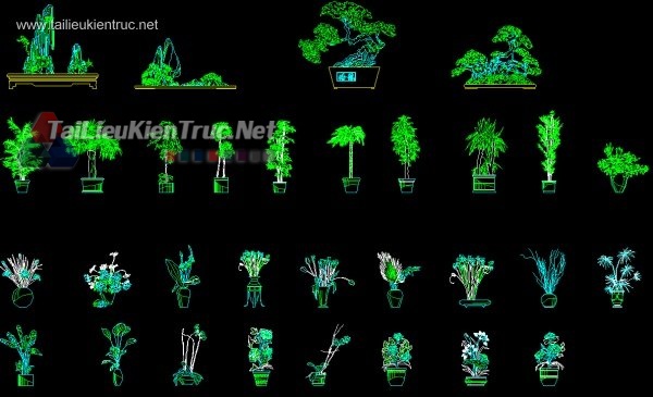 Thư viện autocad về cây Bon sai