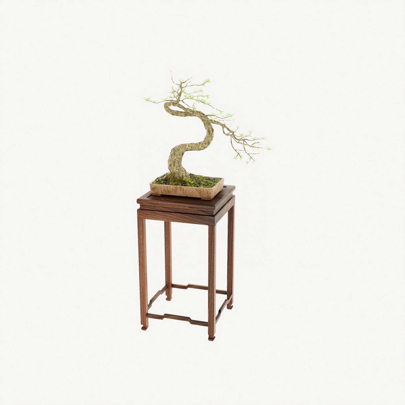 17. Model chậu cây bonsai sketchup miễn phí