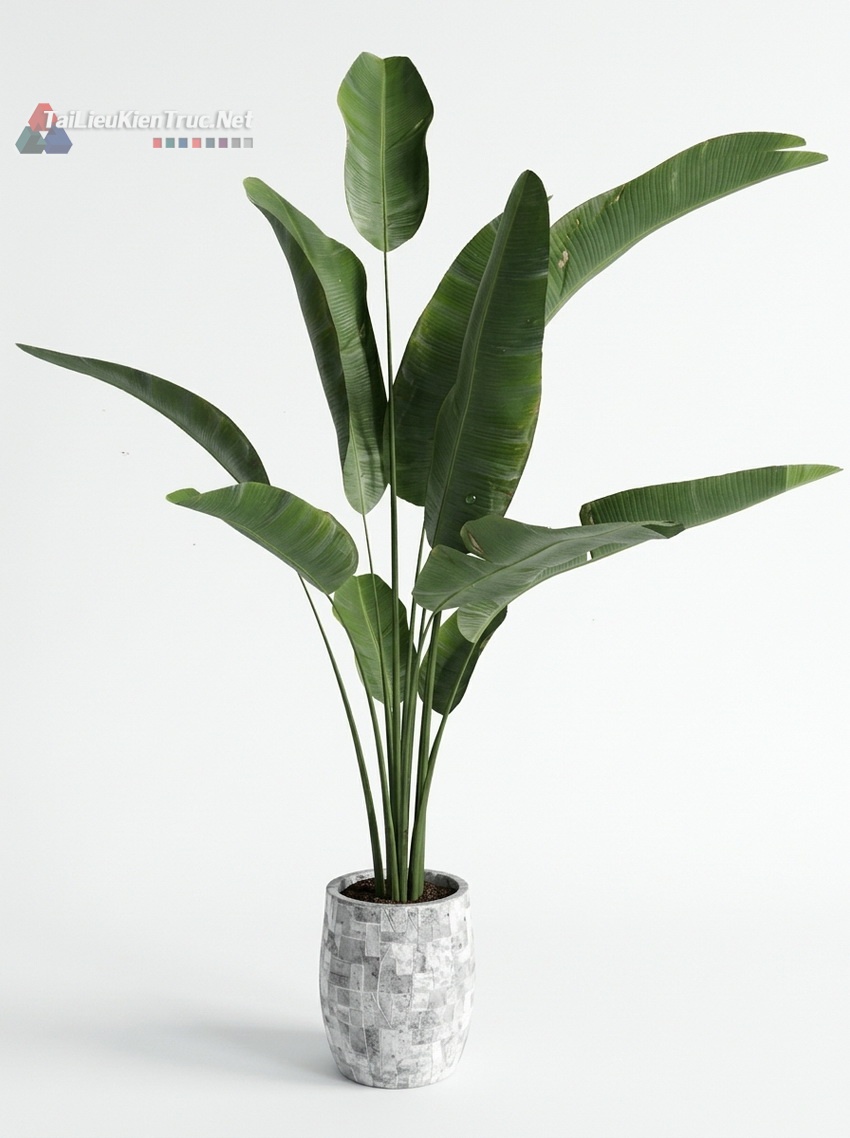 Thư viện Sketchup cây 067