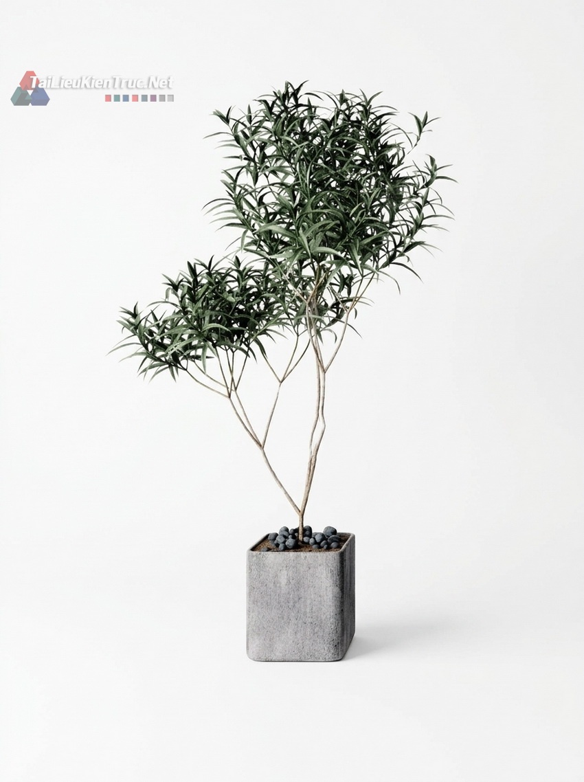 Thư viện cây Sketchup 075