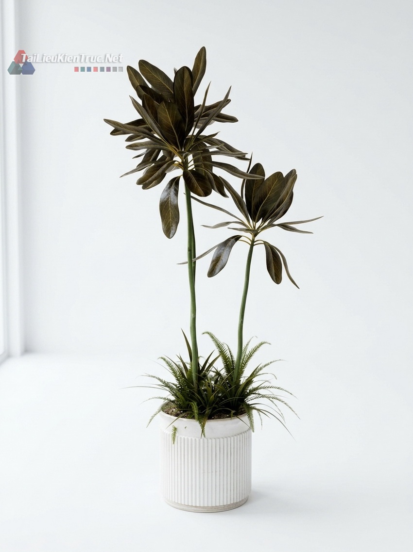 099 Mô Hình SketchUp Cây Cảnh Lá Sẫm Màu Dáng Độc Đáo