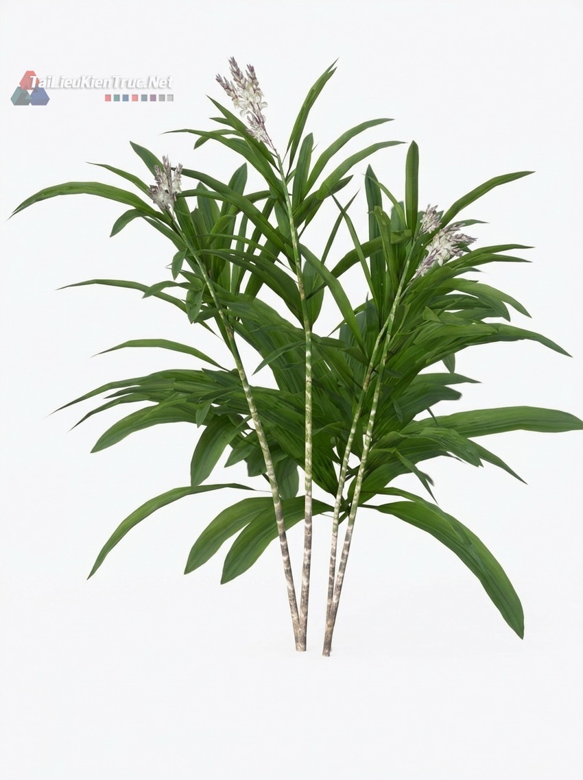 Thư viện Sketchup cây 044