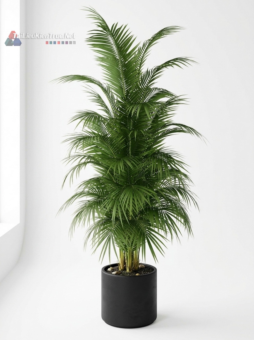 Thư viện Sketchup cây 046