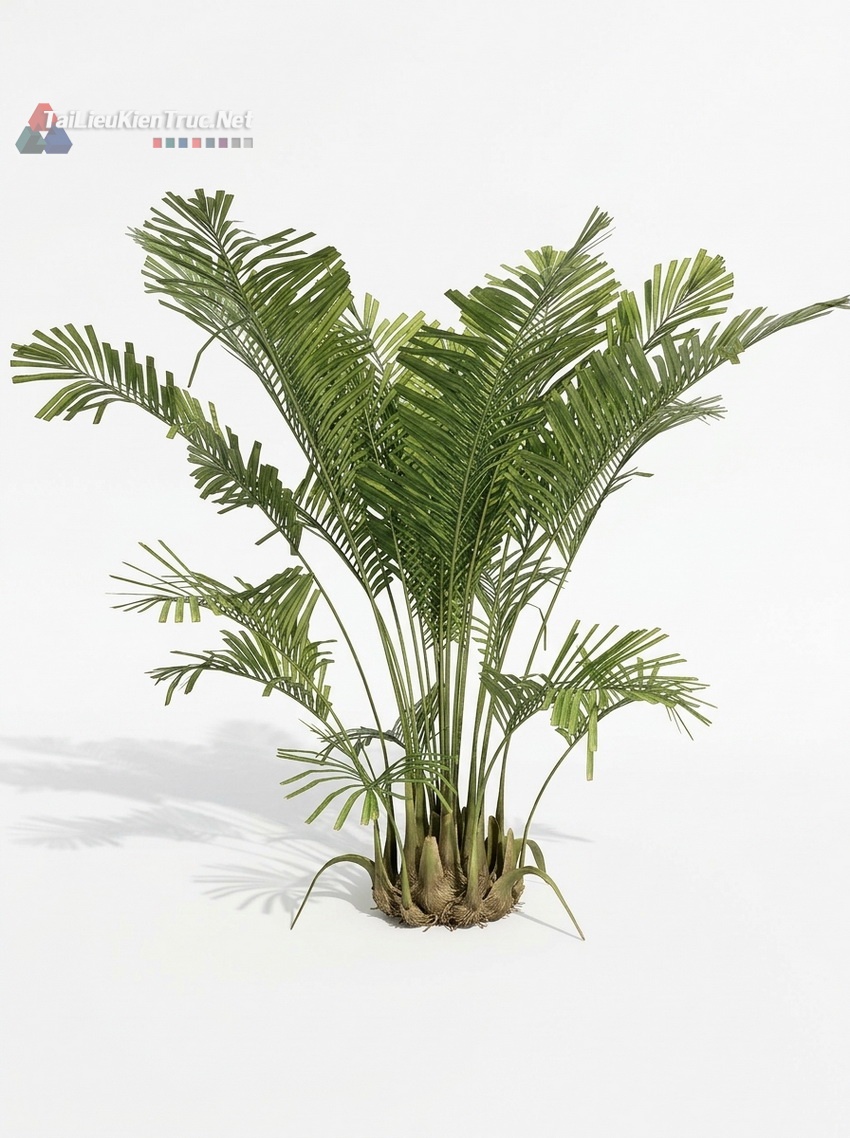 Thư viện Sketchup cây 052