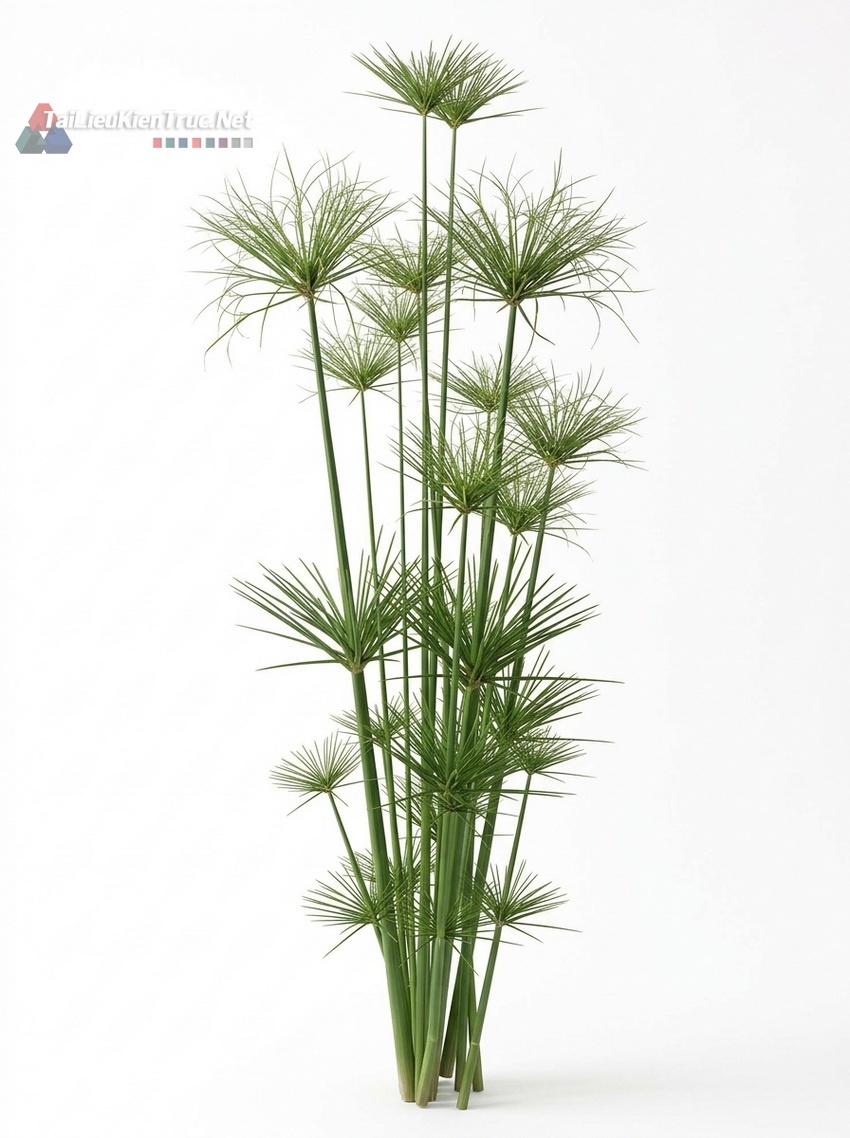 Thư viện Sketchup cây 053