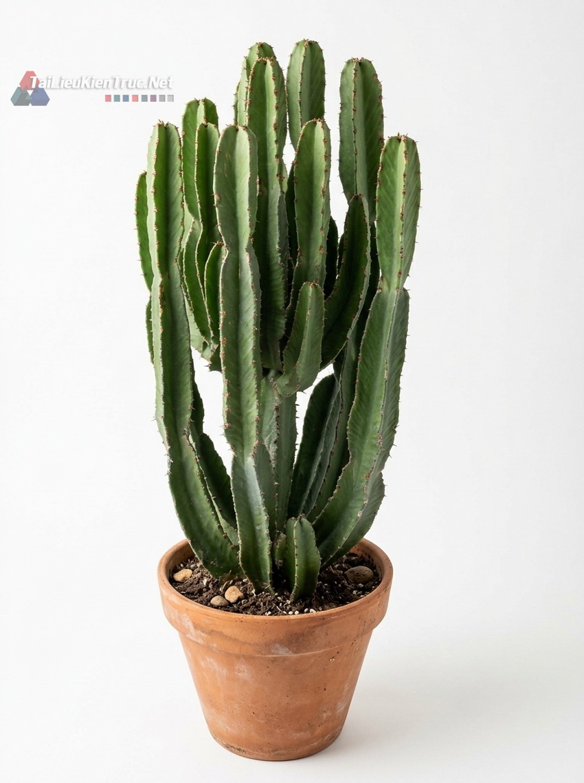 Thư viện Sketchup cây 066