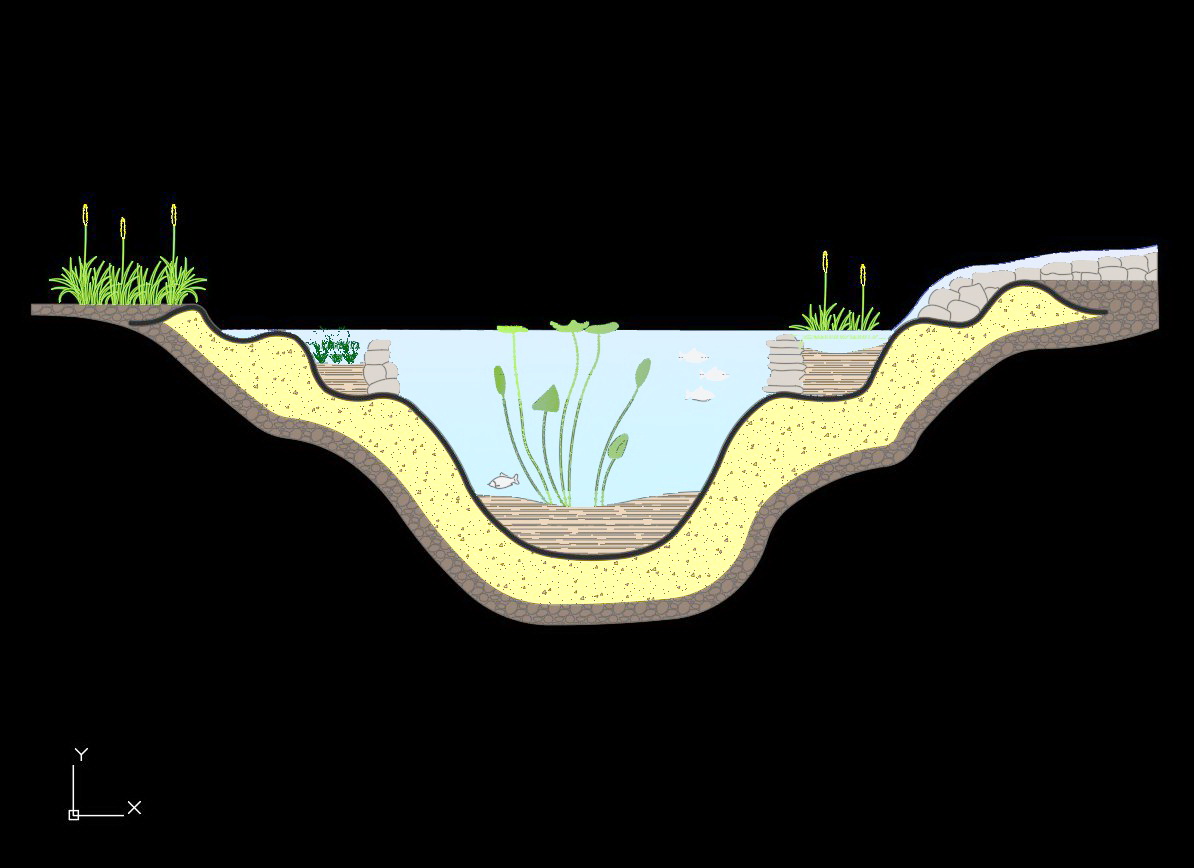 20. Bản vẽ cad mặt cắt hồ tiểu cảnh