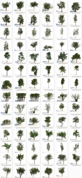 Thư viện 3dsmax gồm 83 model cây Icube rất đẹp và chất lượng Full download