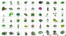 Thư viện Sketchup tổng hợp 50 Model về các loại Cây hoa, cây bụi chất lượng cao P16