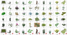 Thư viện Sketchup tổng hợp 50 Model về các loại Cây hoa, cây bụi chất lượng cao P17