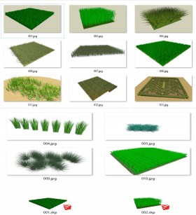 Thư viện Sketchup tổng hợp 13 Model về các loại cỏ P21