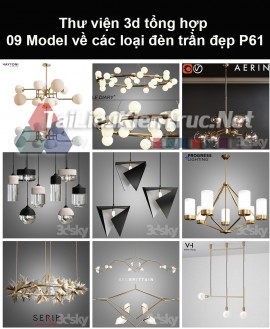 Thư viện 3d tổng hợp 09 model về các loại đèn trần đẹp P61