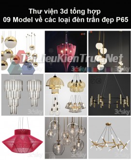 Thư viện 3d tổng hợp 09 model về các loại đèn trần đẹp P65