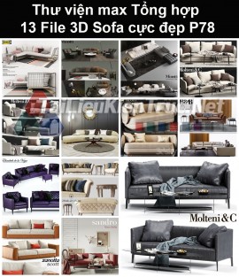 Thư viện max Tổng hợp 13 File 3D model Sofa cực đẹp P78
