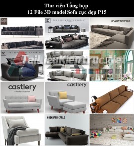 Thư viện Tổng hợp 12 File 3D model Sofa cực đẹp P15