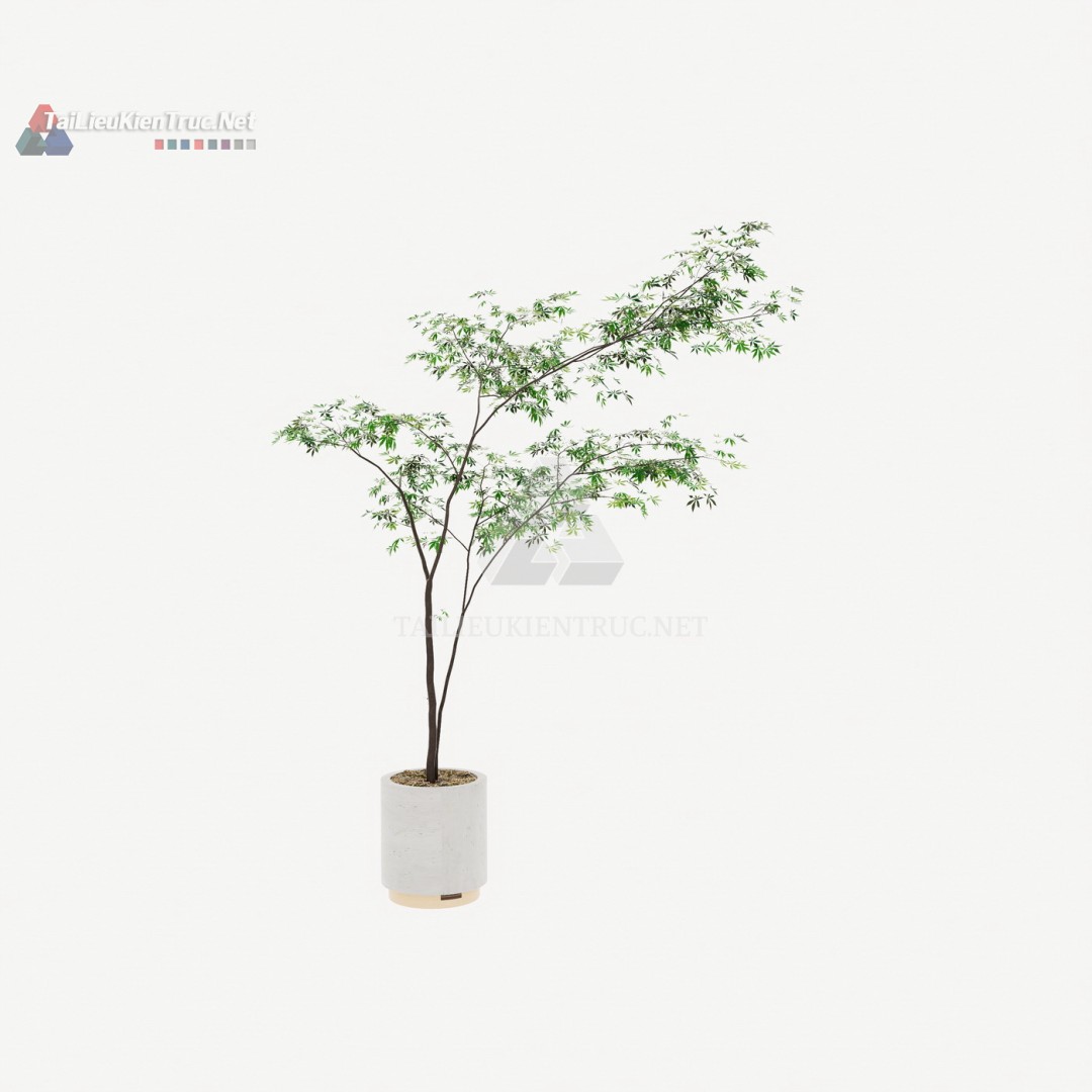 Thư viện cây Sketchup 087