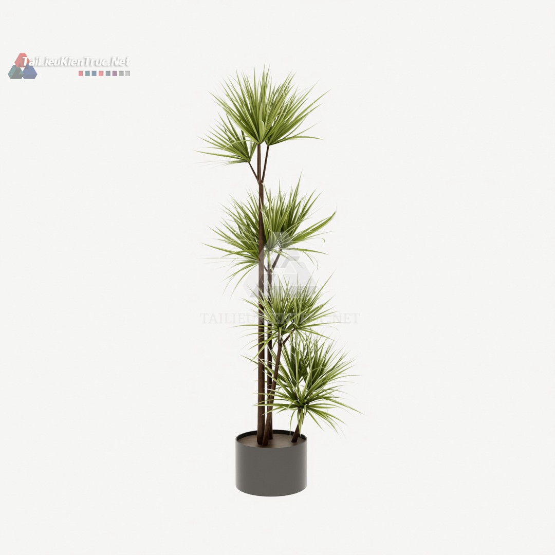 Thư viện cây Sketchup 088