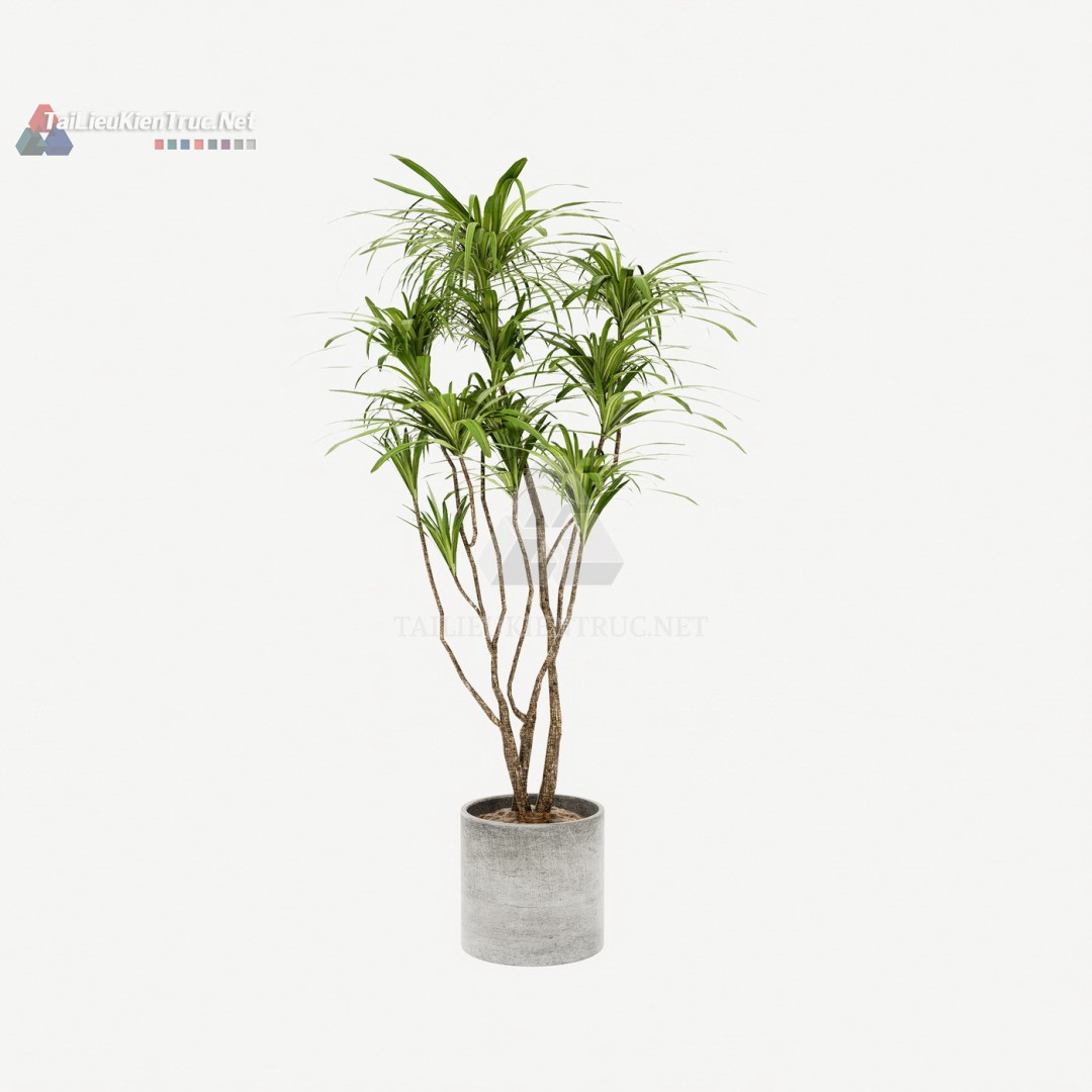 Thư viện cây Sketchup 089