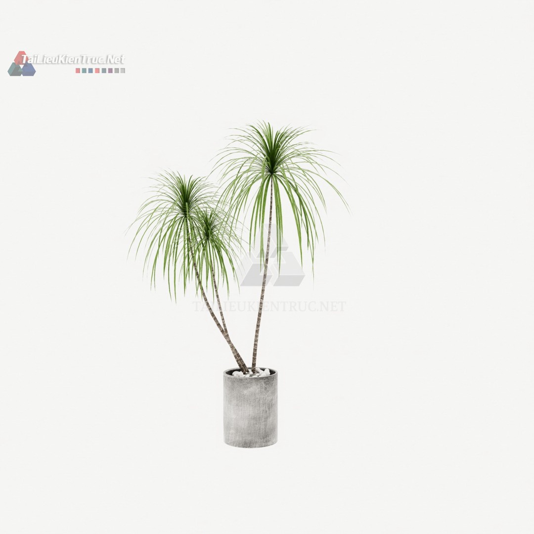 Thư viện cây Sketchup 090