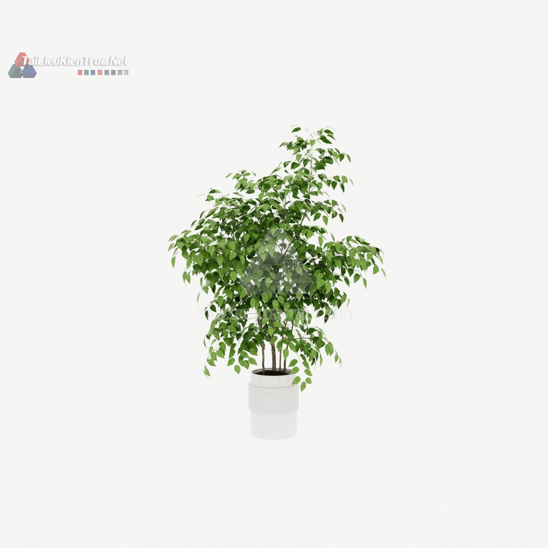 Thư viện cây Sketchup 091