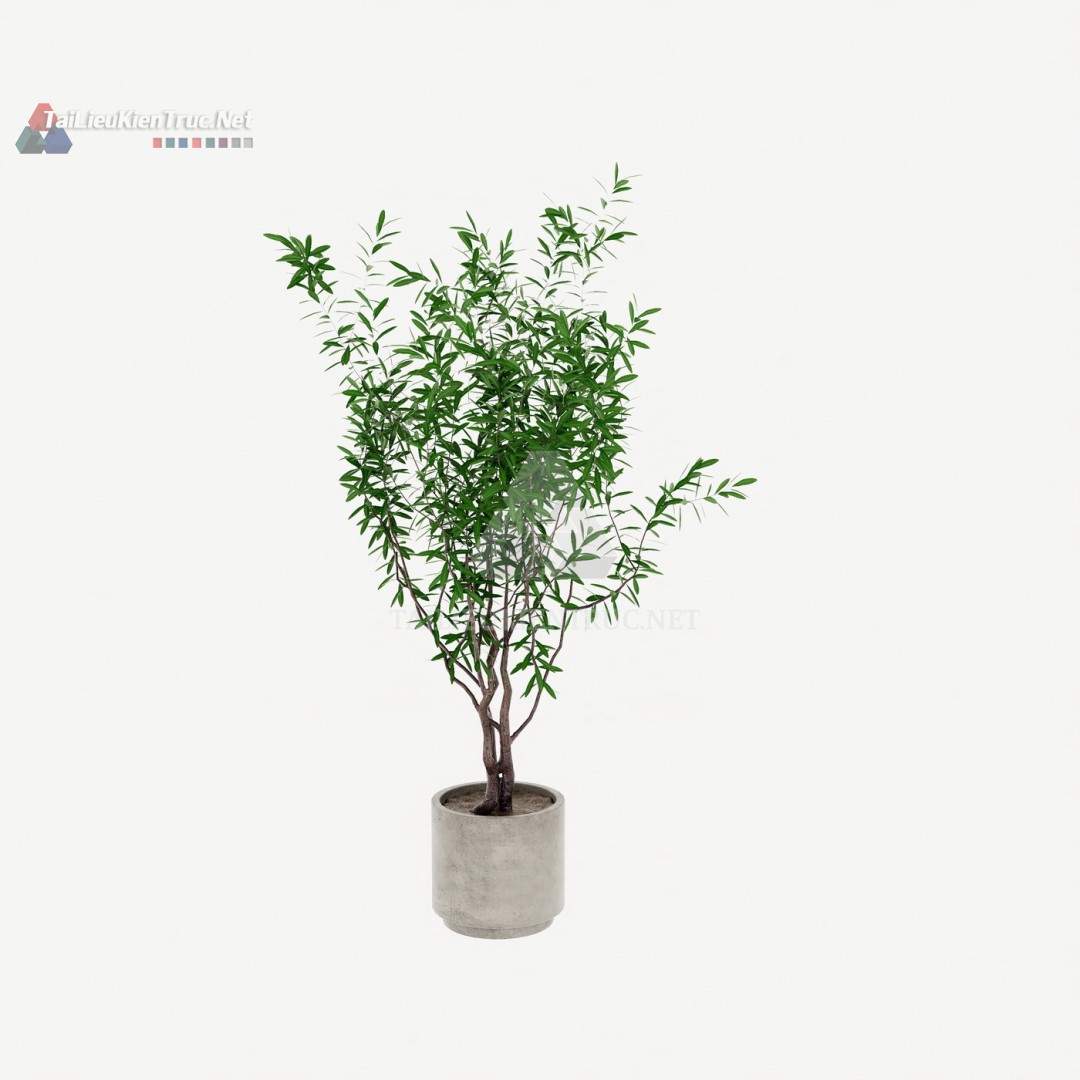Thư viện cây Sketchup 093