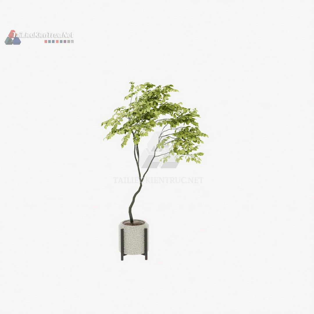 Thư viện cây Sketchup 094