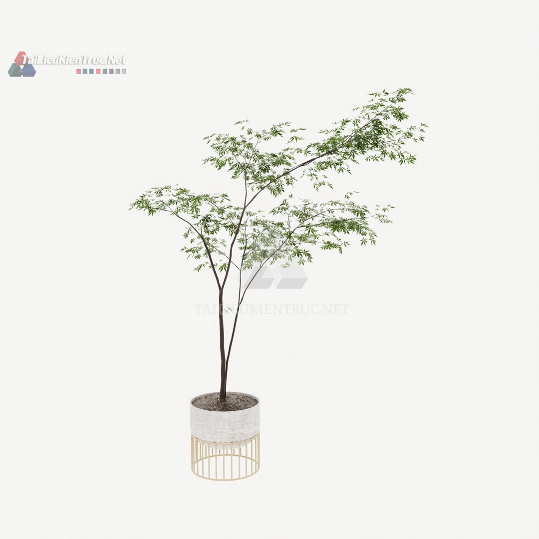 Thư viện cây Sketchup 095