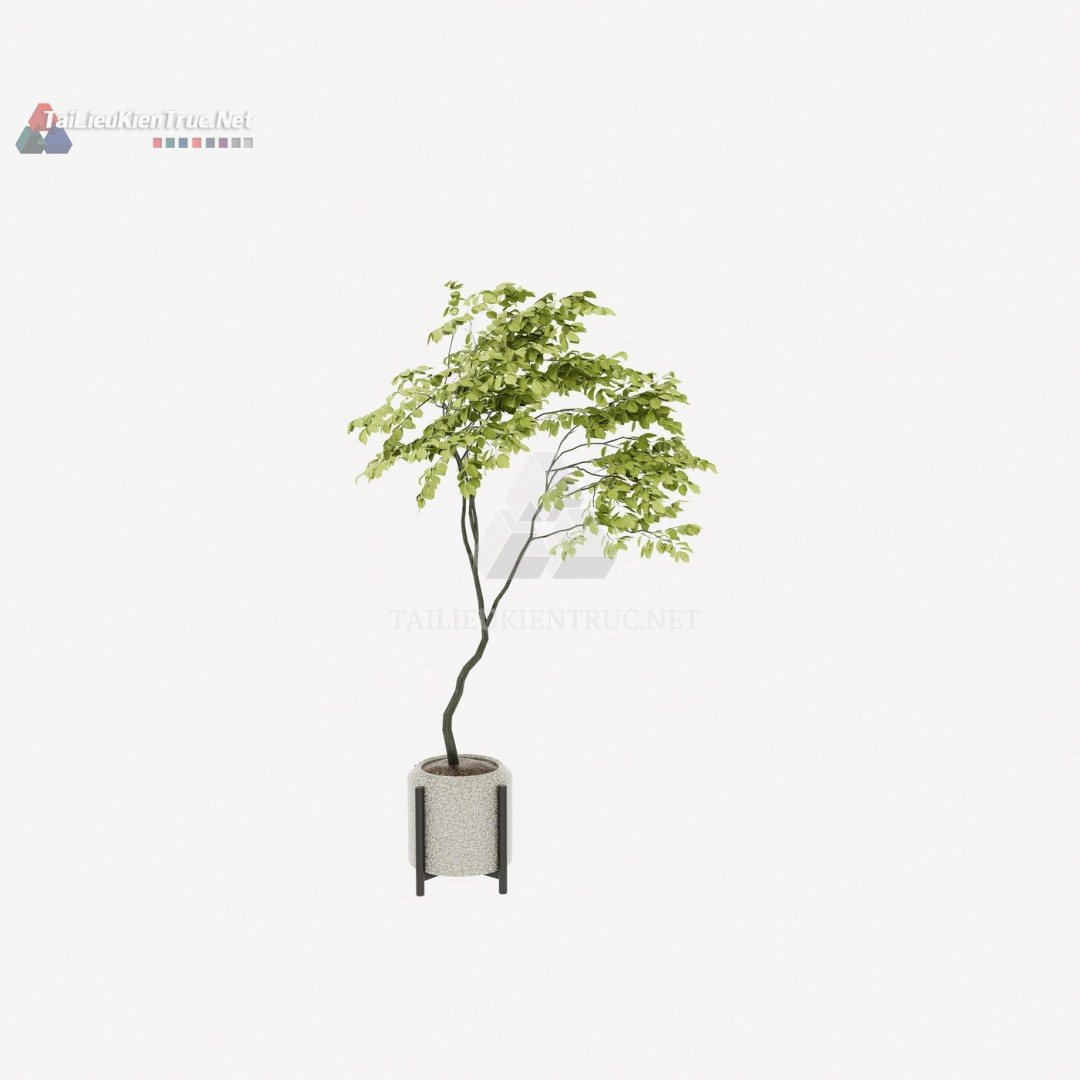 104 Mô Hình SketchUp Cây Cảnh Dáng Cong Hiện Đại Miễn Phí