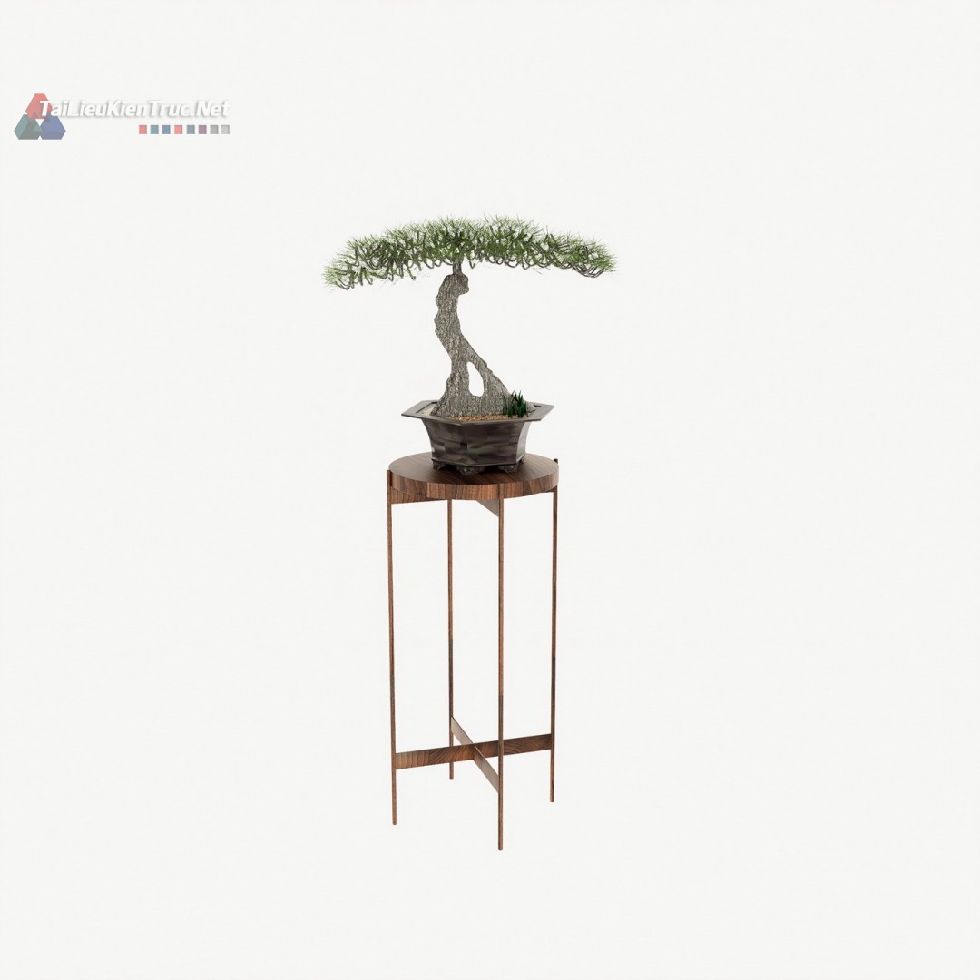001. Model cây bonsai sketchup miễn phí