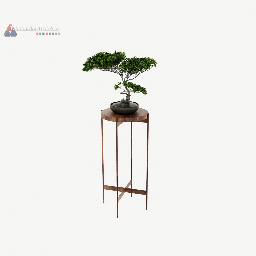 004. Tải miễn phí model bonsai sketchup đẹp