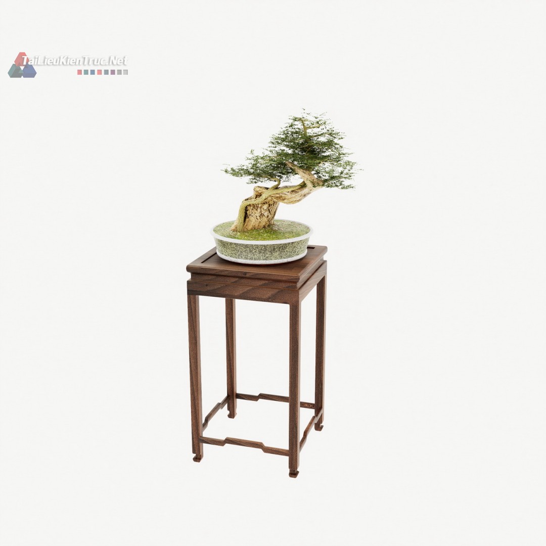 005. Model cây bonsai sketchup miễn phí tải về