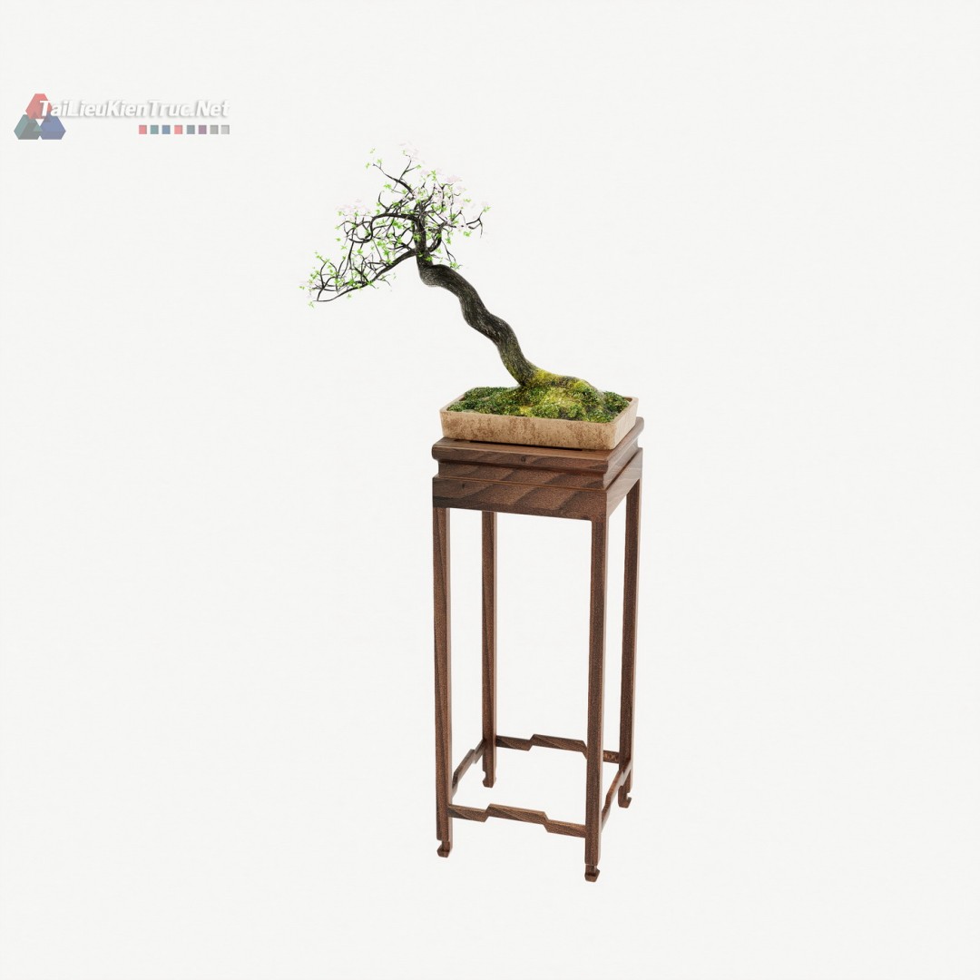 006 Model cây bonsai sketchup miễn phí