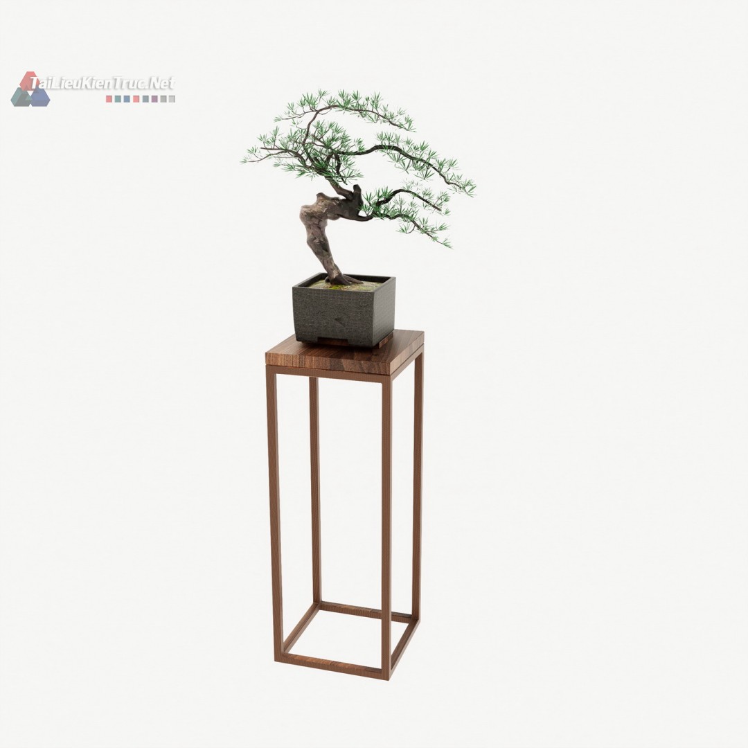 008. Chậu bonsai sketchup cực đẹp tải miễn phí